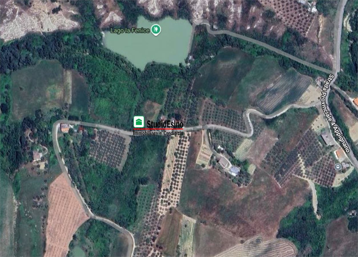 immagine annuncio 1 di 2