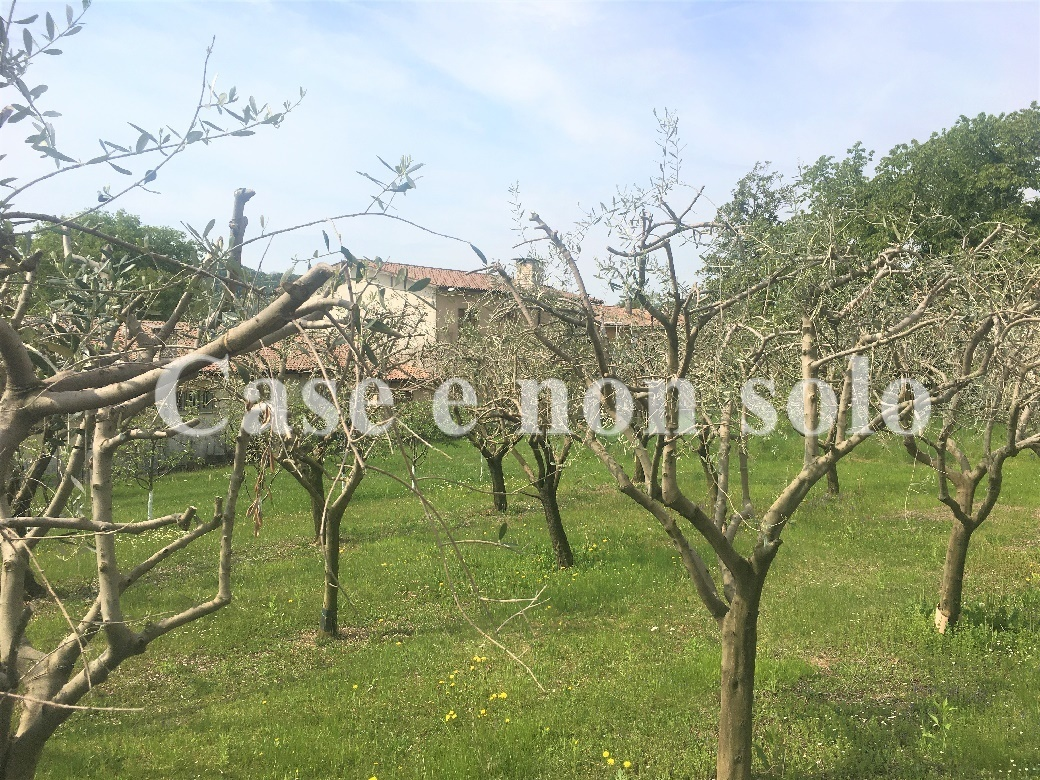 immagine annuncio 2 di 4