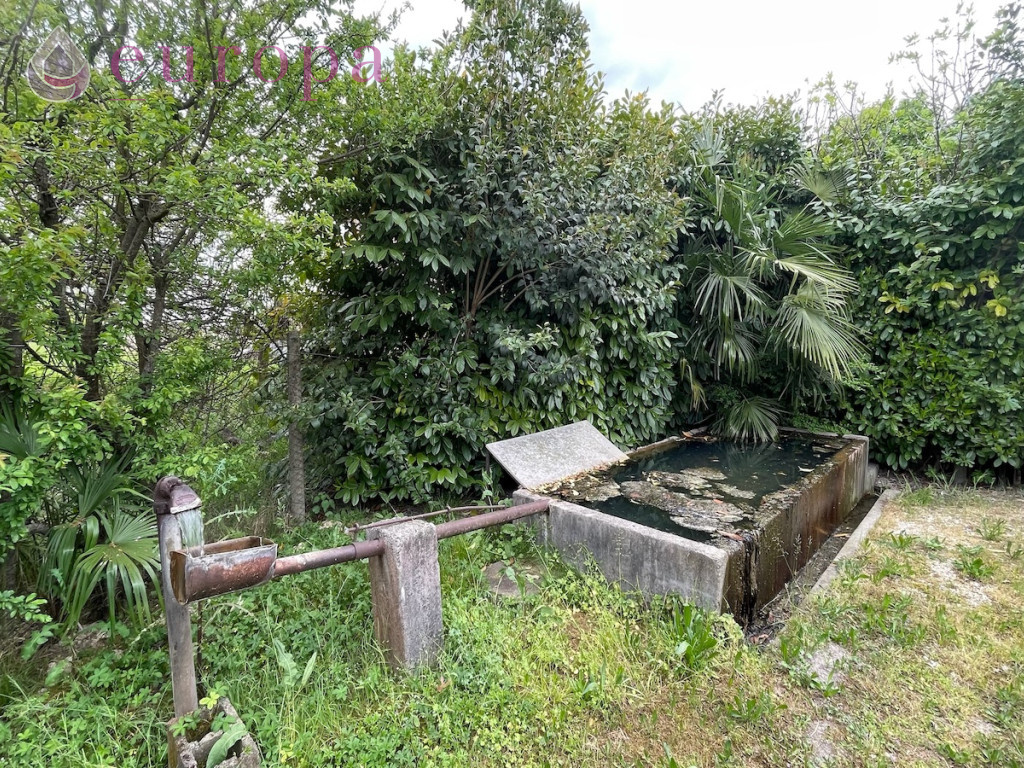 immagine annuncio 6 di 7