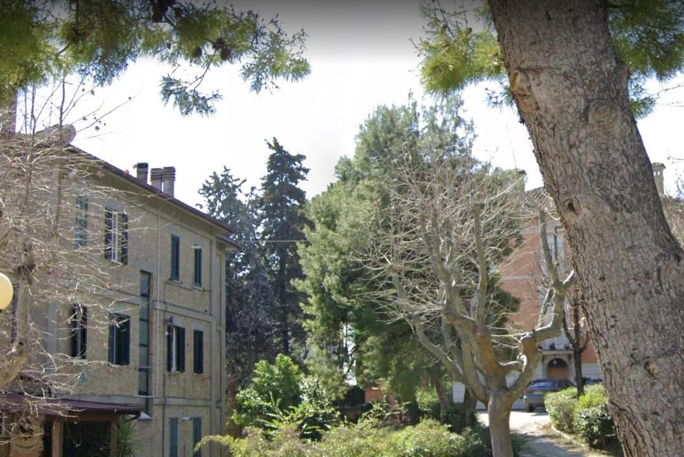 immagine annuncio 2 di 10
