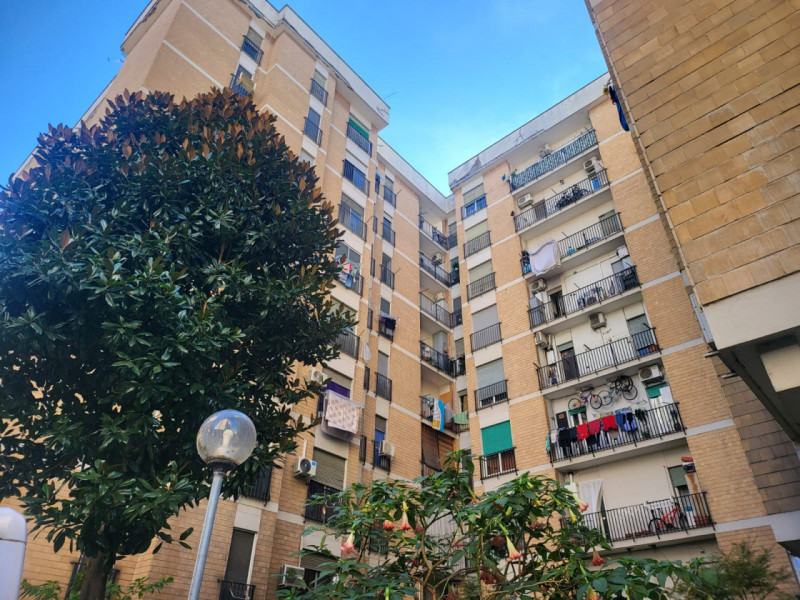 immagine annuncio 6 di 10