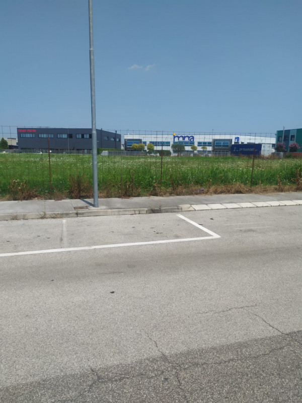 immagine annuncio 3 di 4