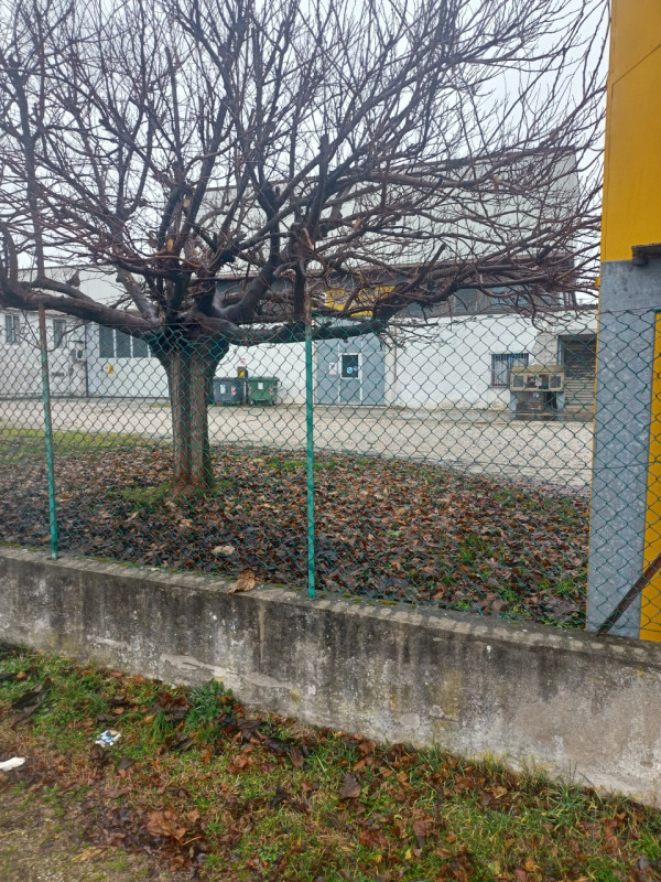 immagine annuncio 3 di 7