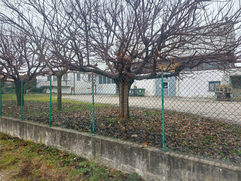 immagine annuncio 6 di 7