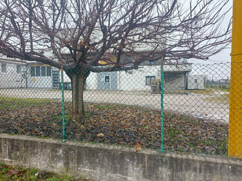 immagine annuncio 5 di 7