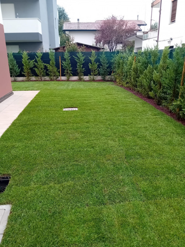 immagine annuncio 1 di 8