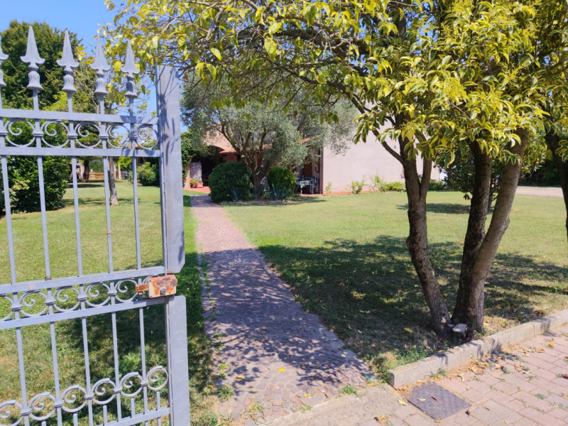 immagine annuncio 3 di 6