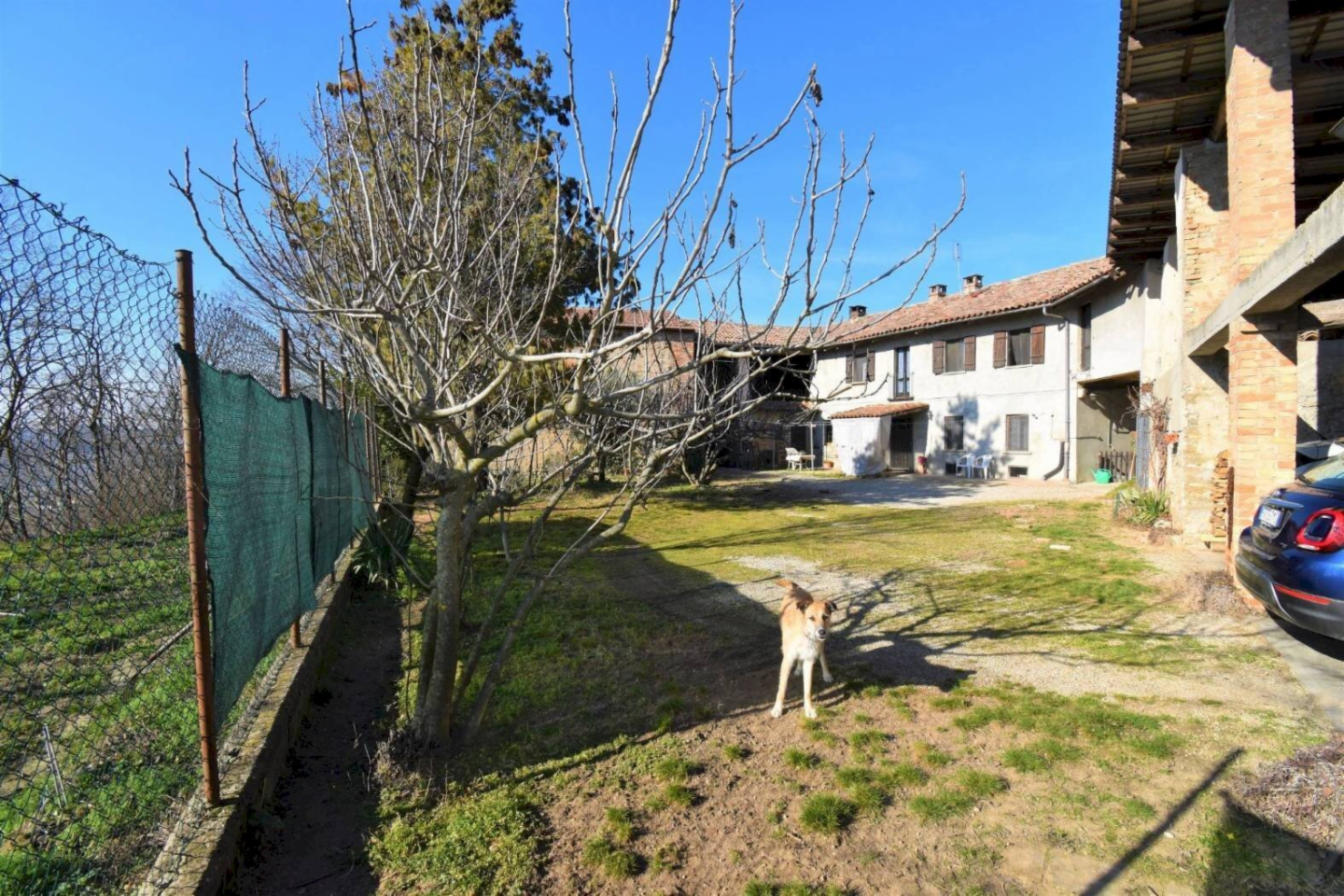 immagine annuncio 3 di 10