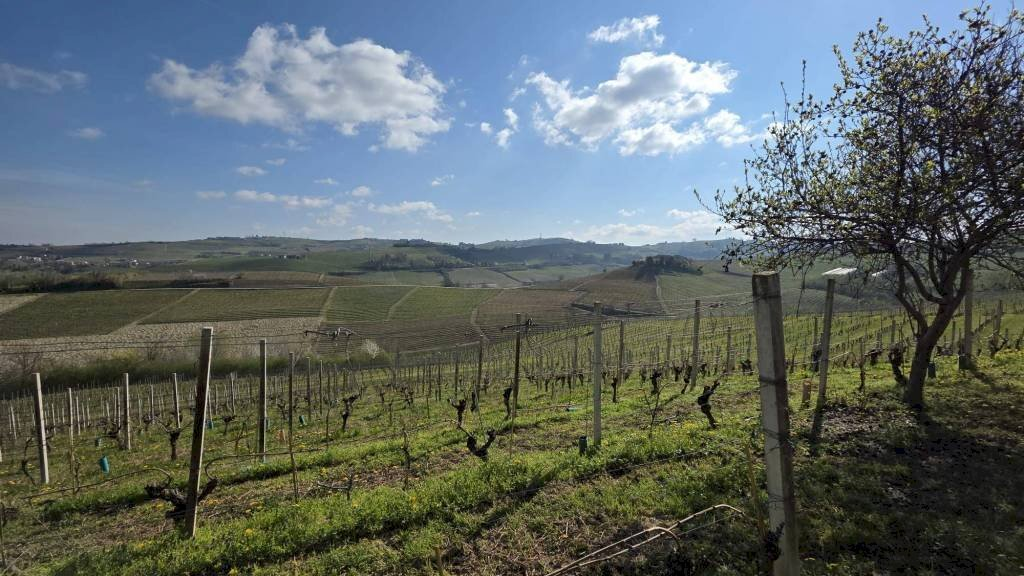 immagine annuncio 6 di 10