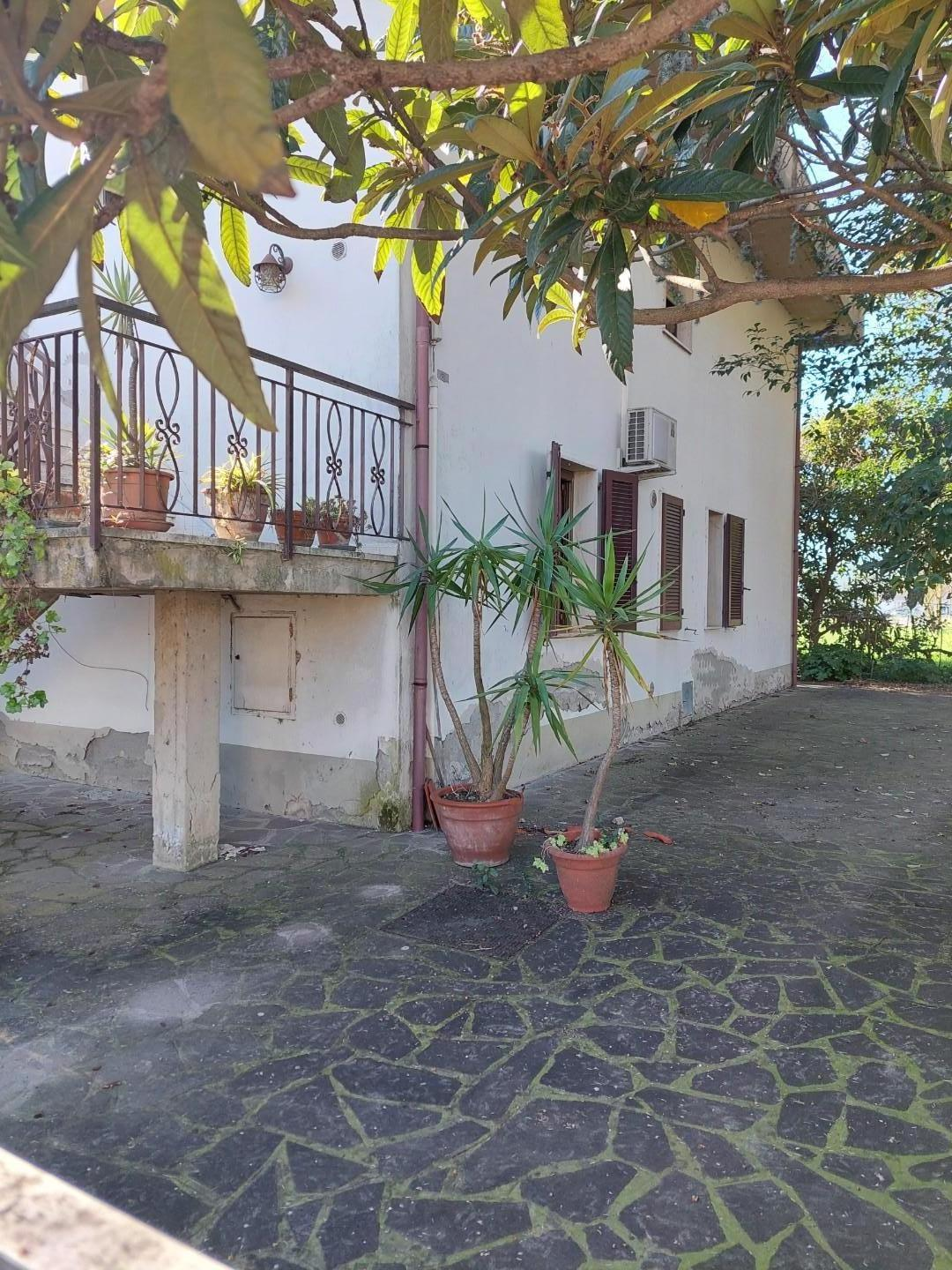 immagine annuncio 2 di 8