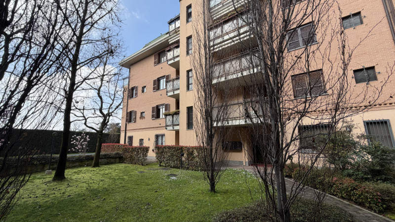 immagine annuncio 6 di 8