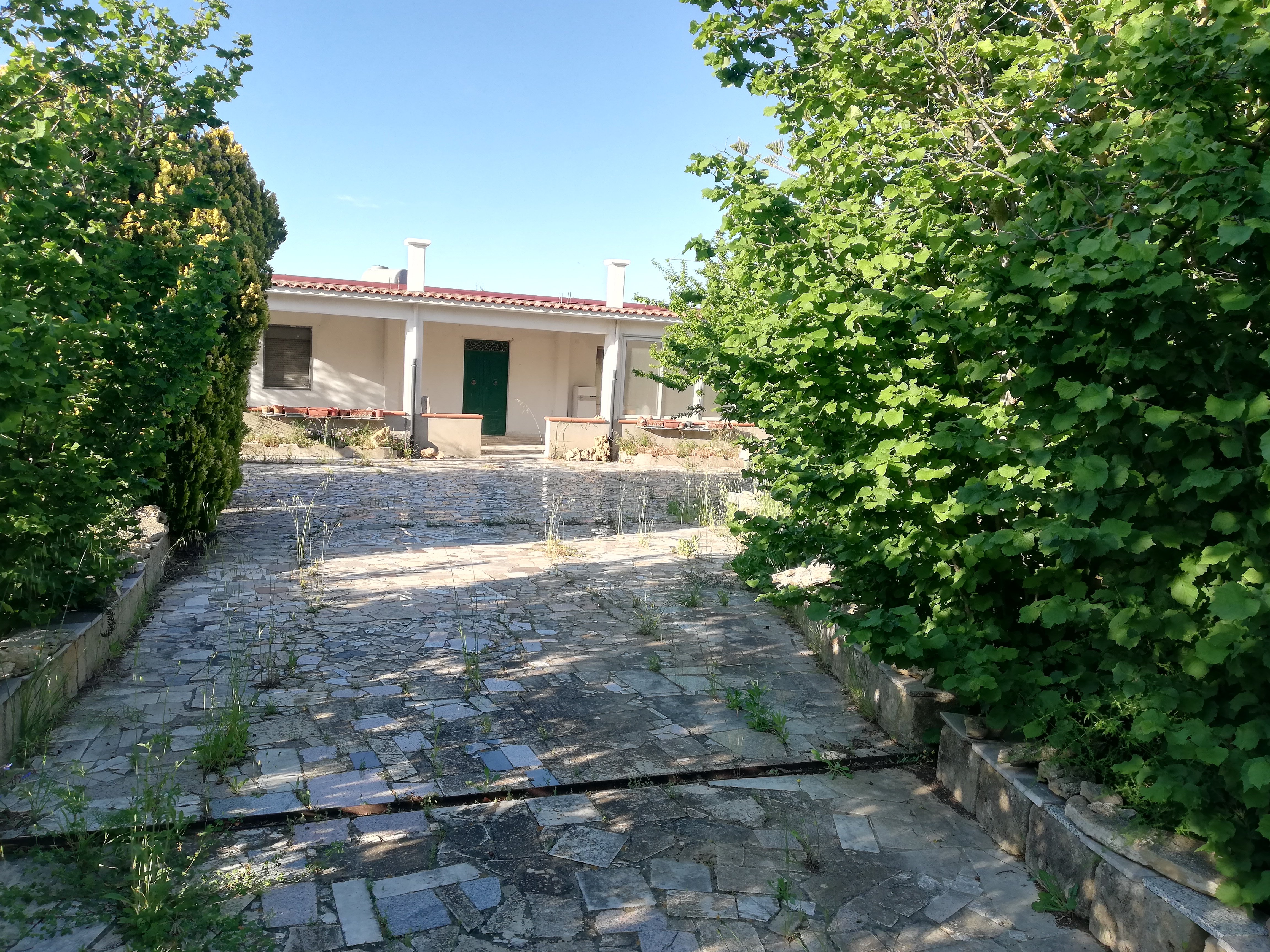 immagine annuncio 1 di 7