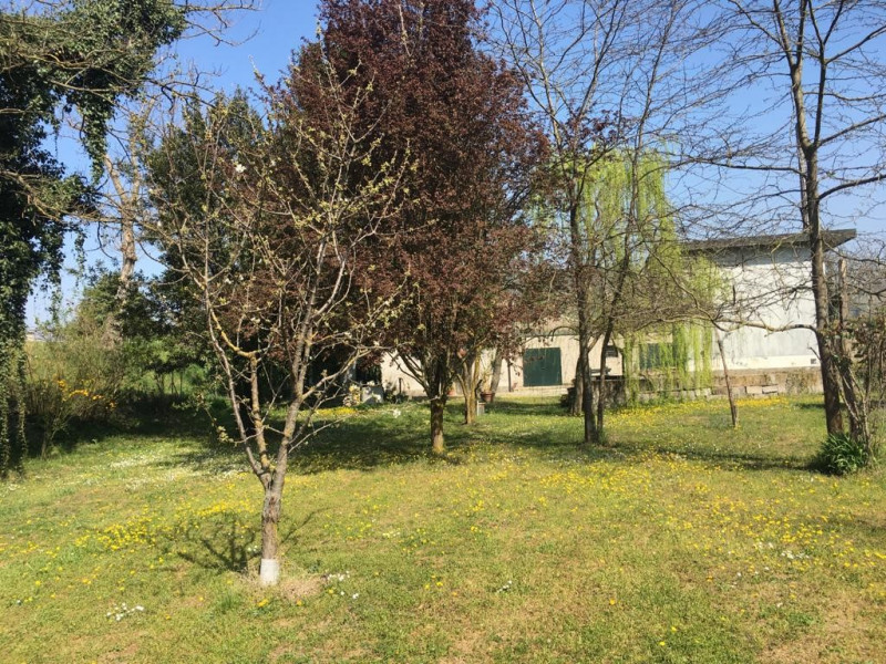 immagine annuncio 2 di 10