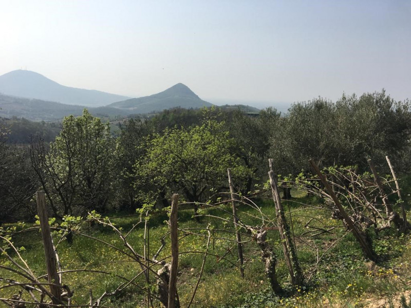 immagine annuncio 3 di 6