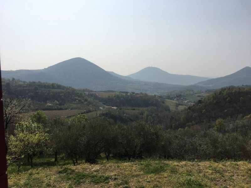 immagine annuncio 4 di 6