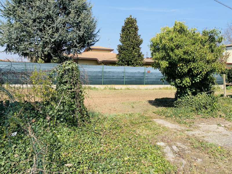 immagine annuncio 5 di 9