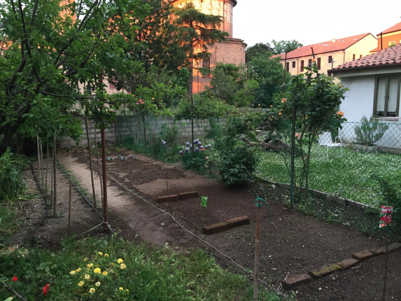 immagine annuncio 2 di 10