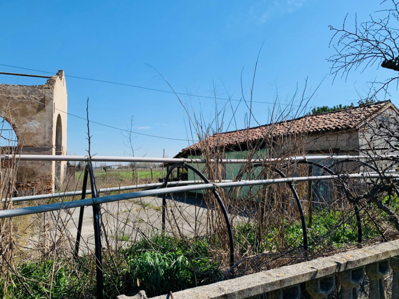 immagine annuncio 4 di 6