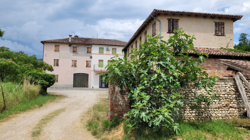 immagine annuncio 5 di 8