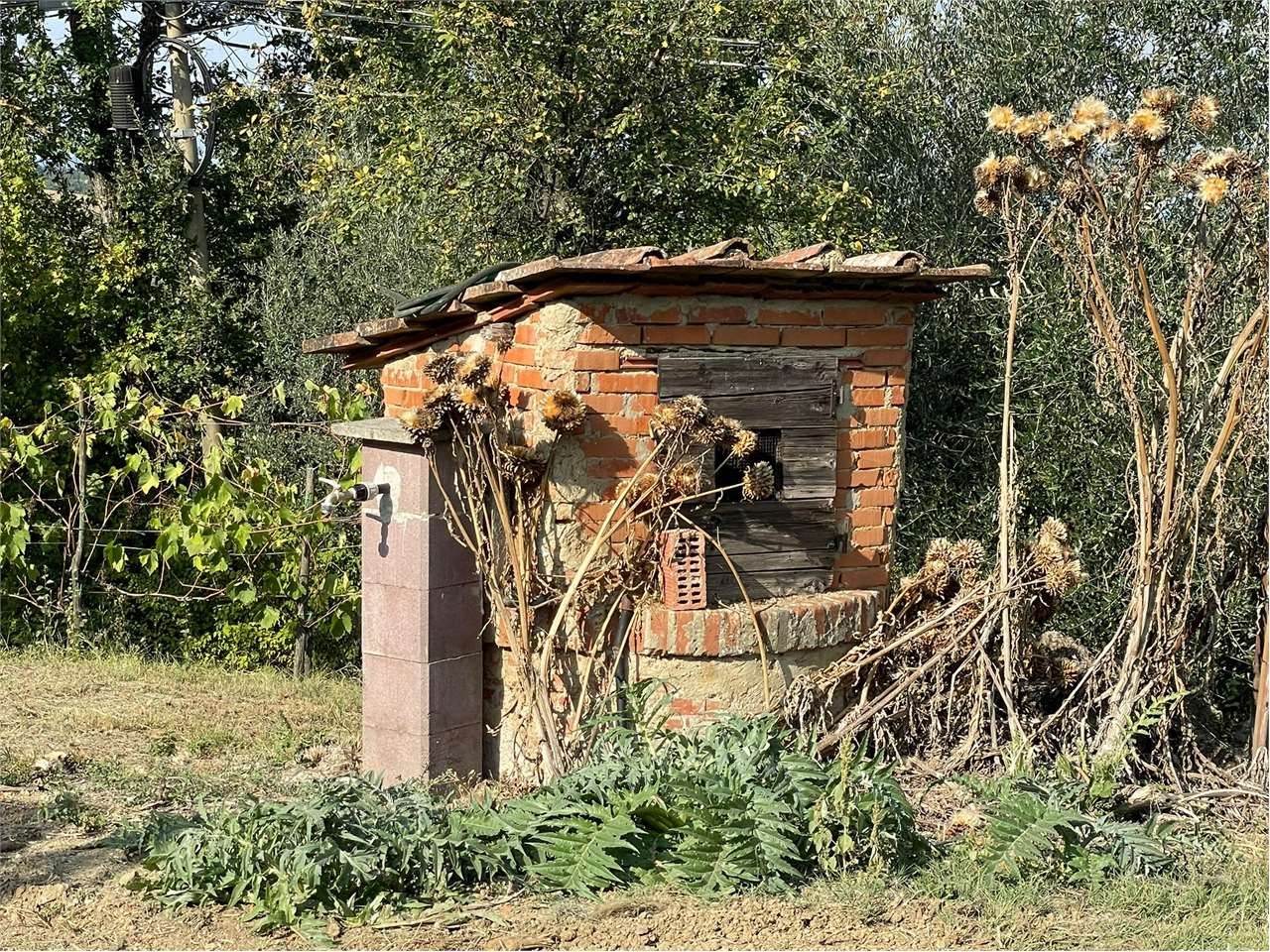 immagine annuncio 9 di 10