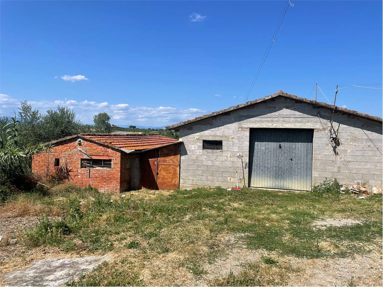 immagine annuncio 3 di 10