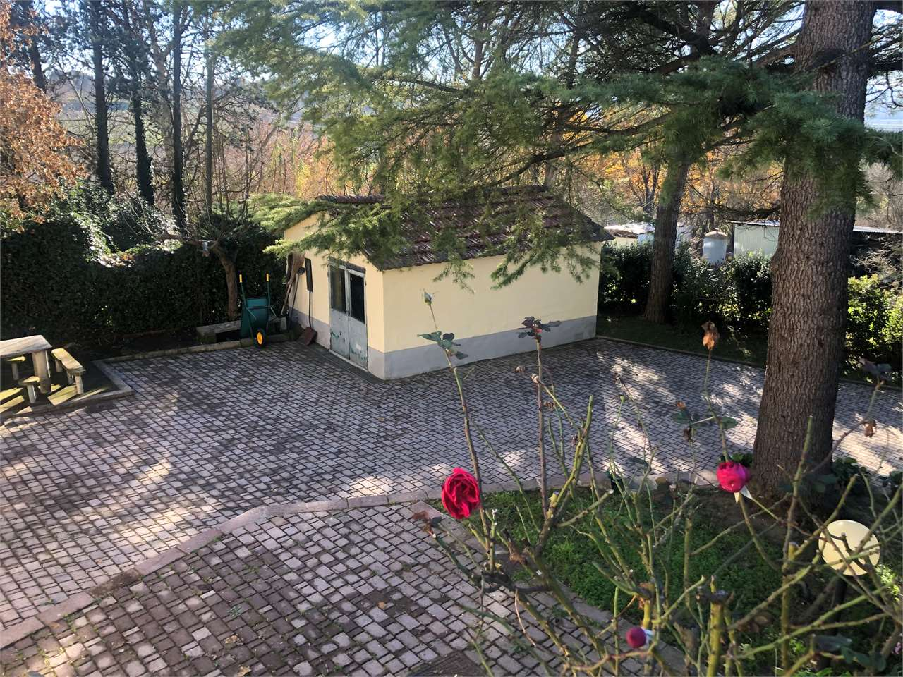 immagine annuncio 8 di 10