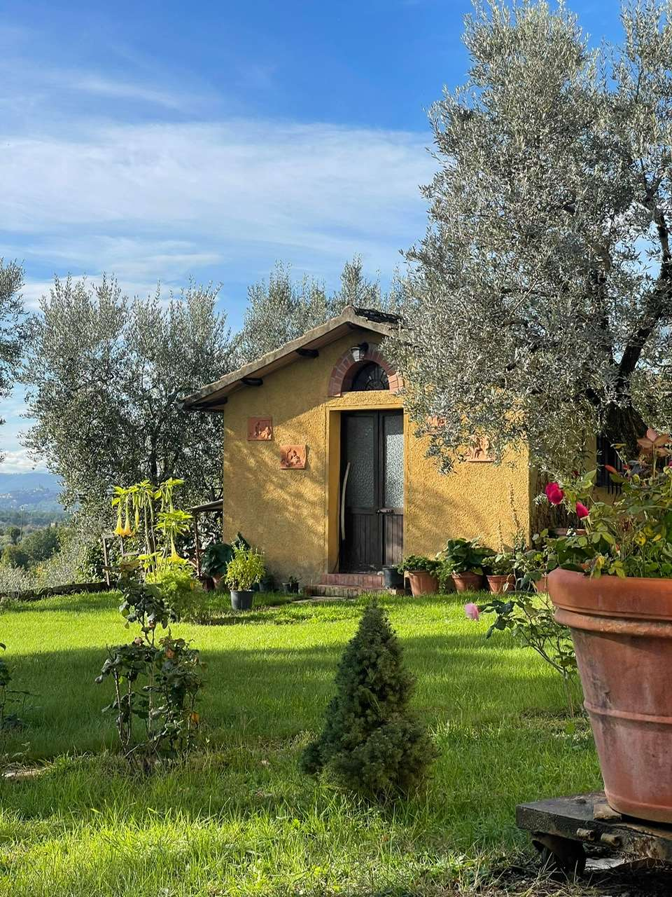 immagine annuncio 7 di 10