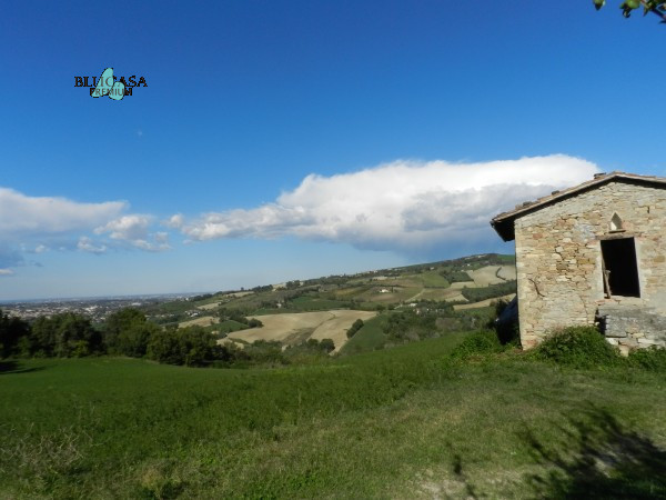 immagine annuncio 6 di 7