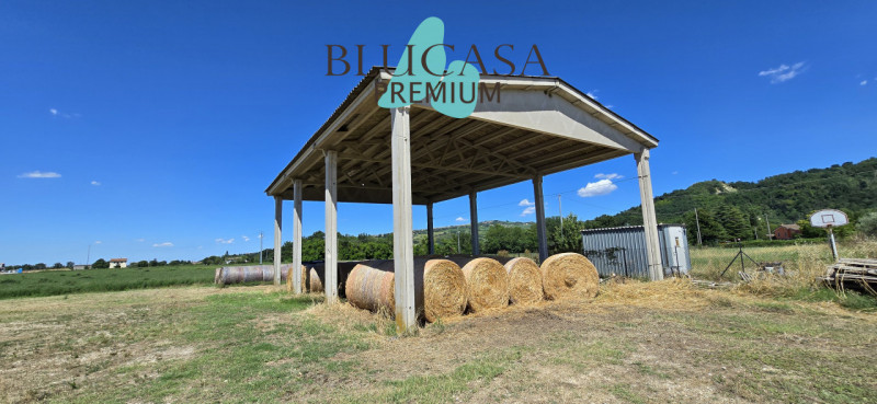 immagine annuncio 1 di 7