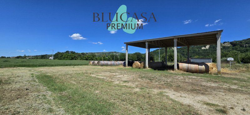 immagine annuncio 3 di 7