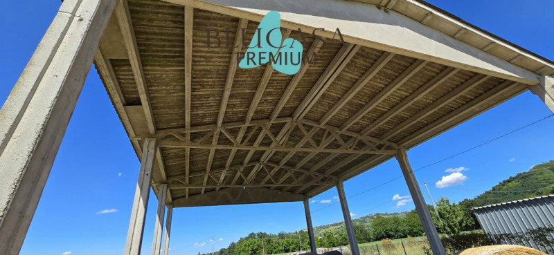 immagine annuncio 4 di 7