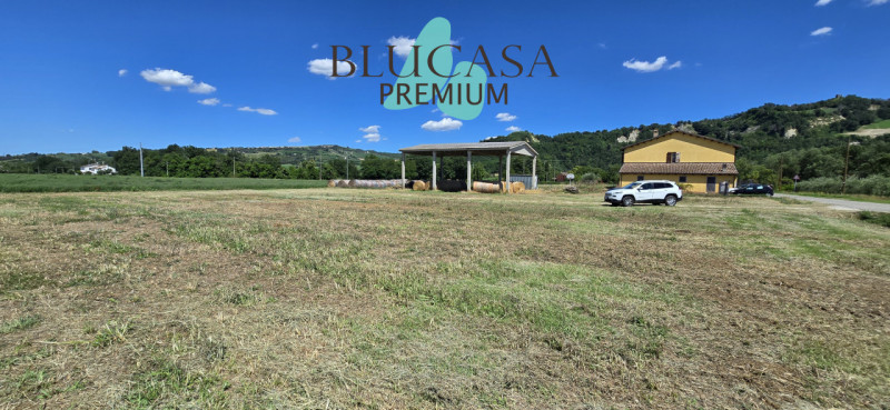 immagine annuncio 5 di 7