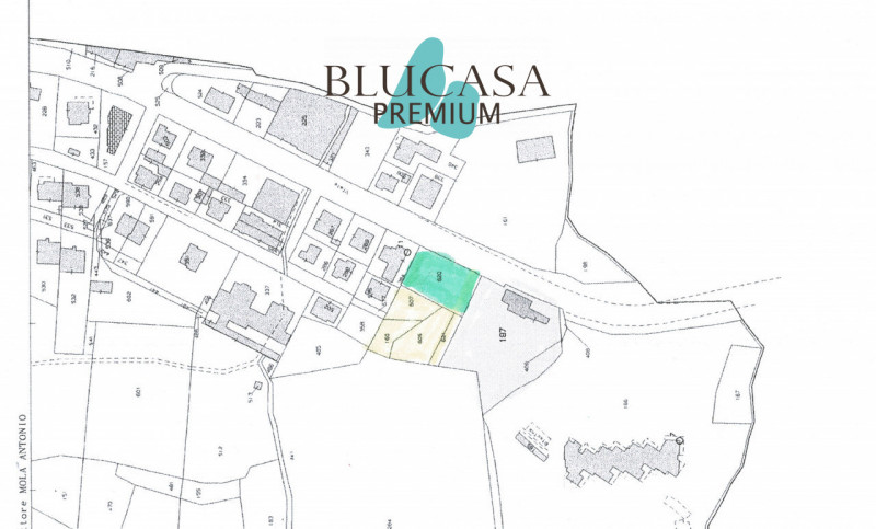 immagine annuncio 1 di 2