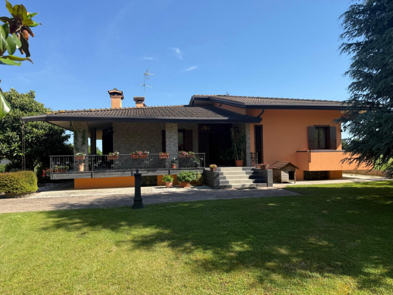 immagine annuncio 3 di 10
