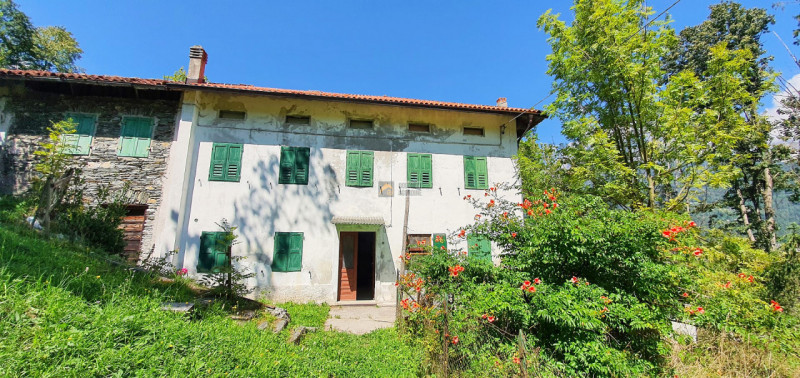 immagine annuncio 4 di 7