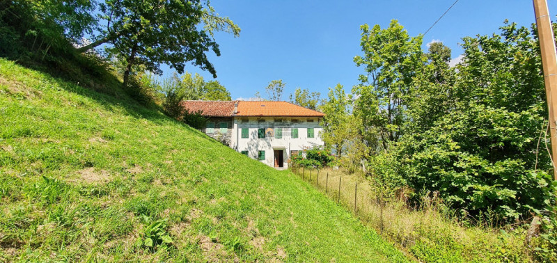 immagine annuncio 5 di 7
