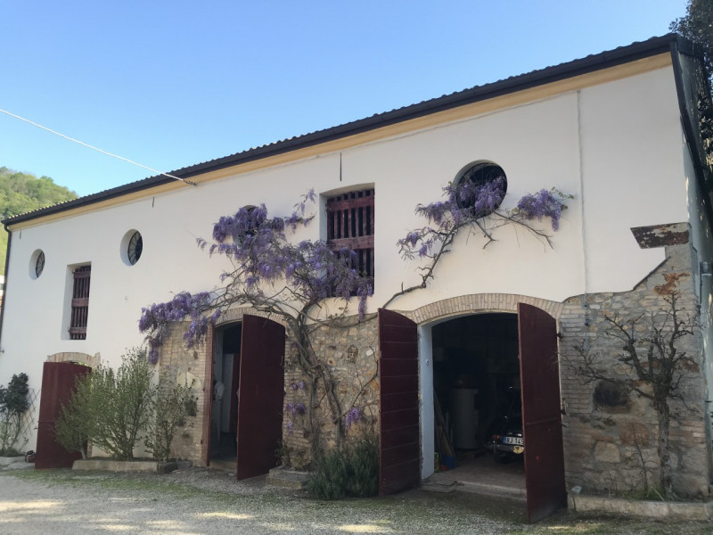 immagine annuncio 5 di 6