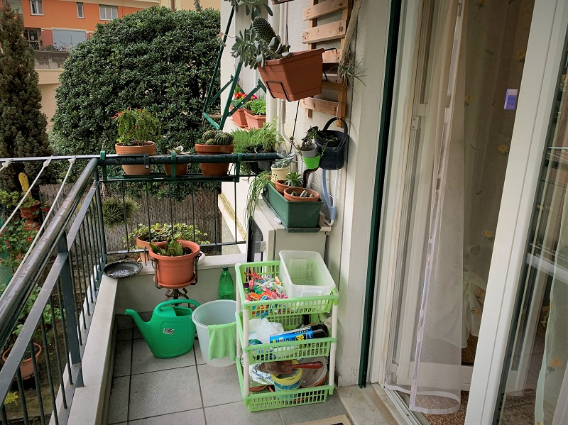 immagine annuncio 2 di 10