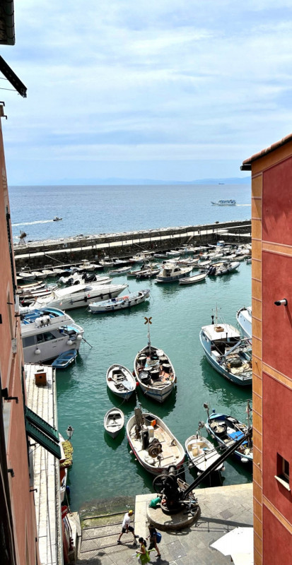 immagine annuncio 6 di 8