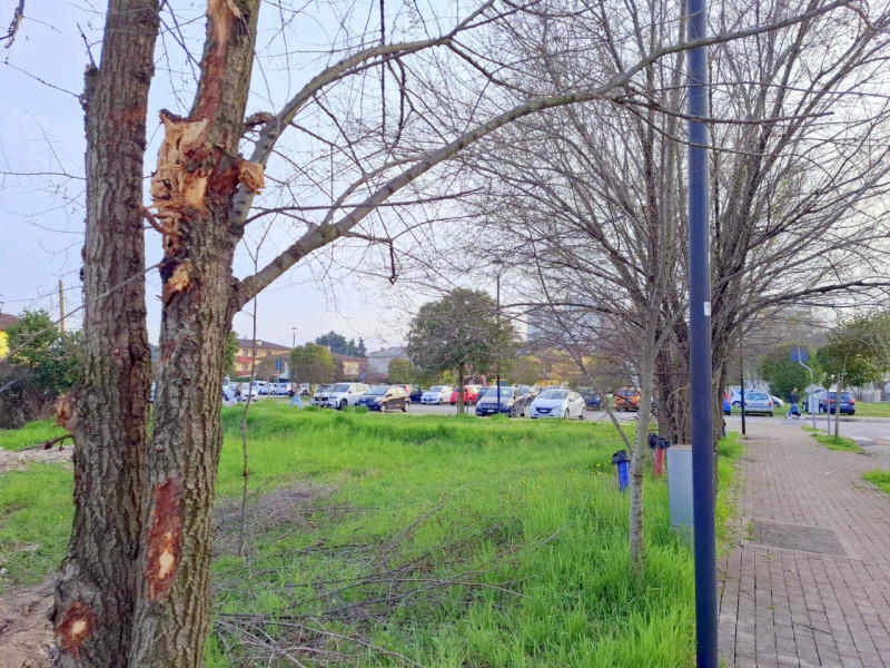 immagine annuncio 2 di 10