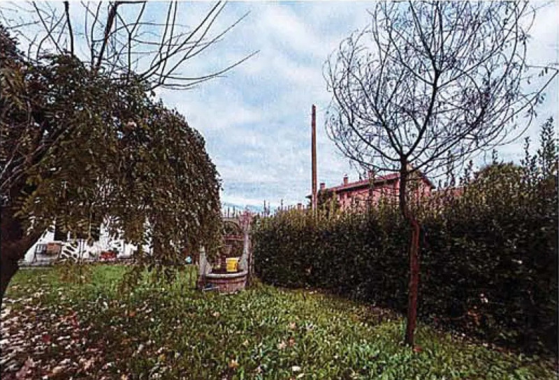 immagine annuncio 3 di 9