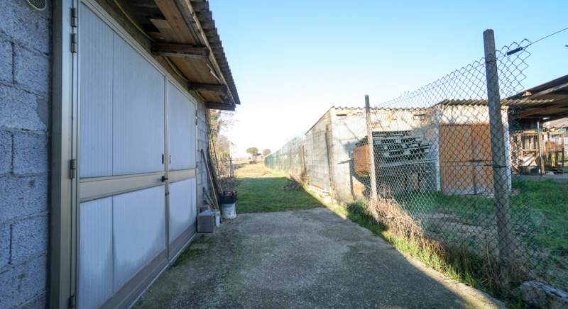 immagine annuncio 6 di 9