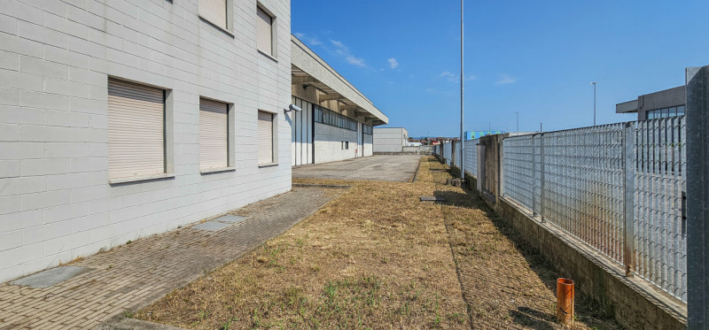 immagine annuncio 3 di 8