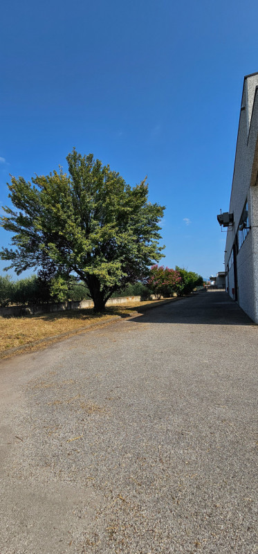 immagine annuncio 2 di 8