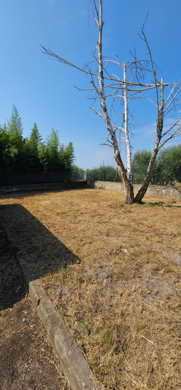 immagine annuncio 6 di 8