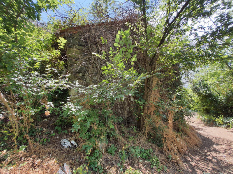 immagine annuncio 4 di 6