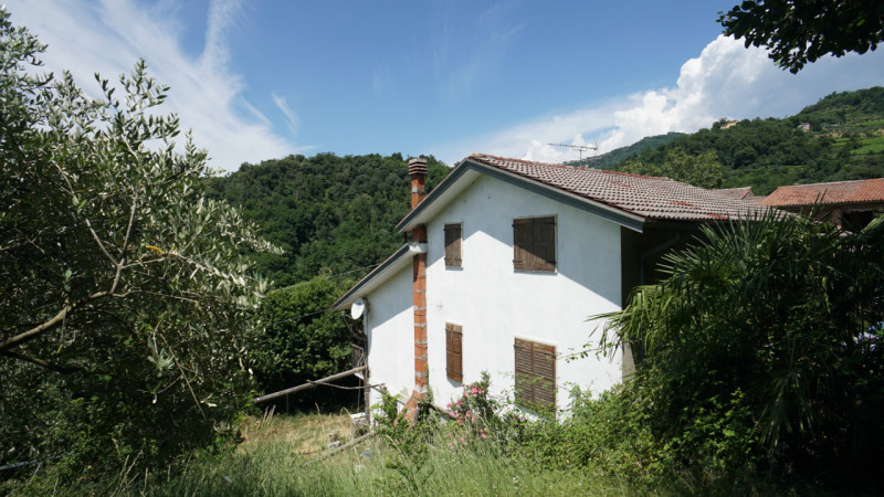 immagine annuncio 3 di 6