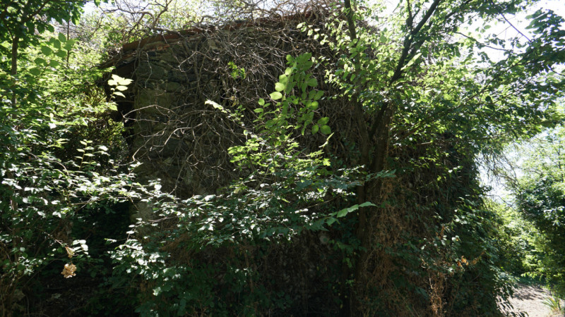 immagine annuncio 5 di 6