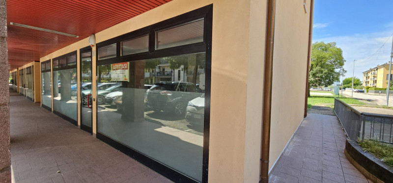 immagine annuncio 2 di 3