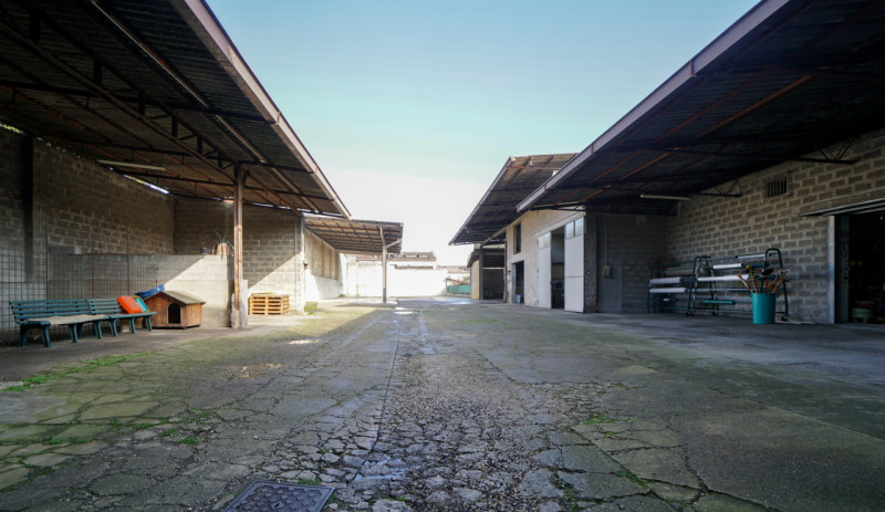immagine annuncio 5 di 10